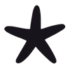 Hidden Sea Star